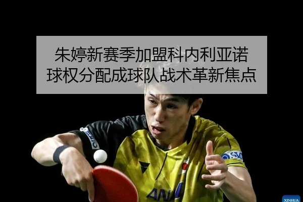 朱婷新赛季加盟科内利亚诺 球权分配成球队战术革新焦点